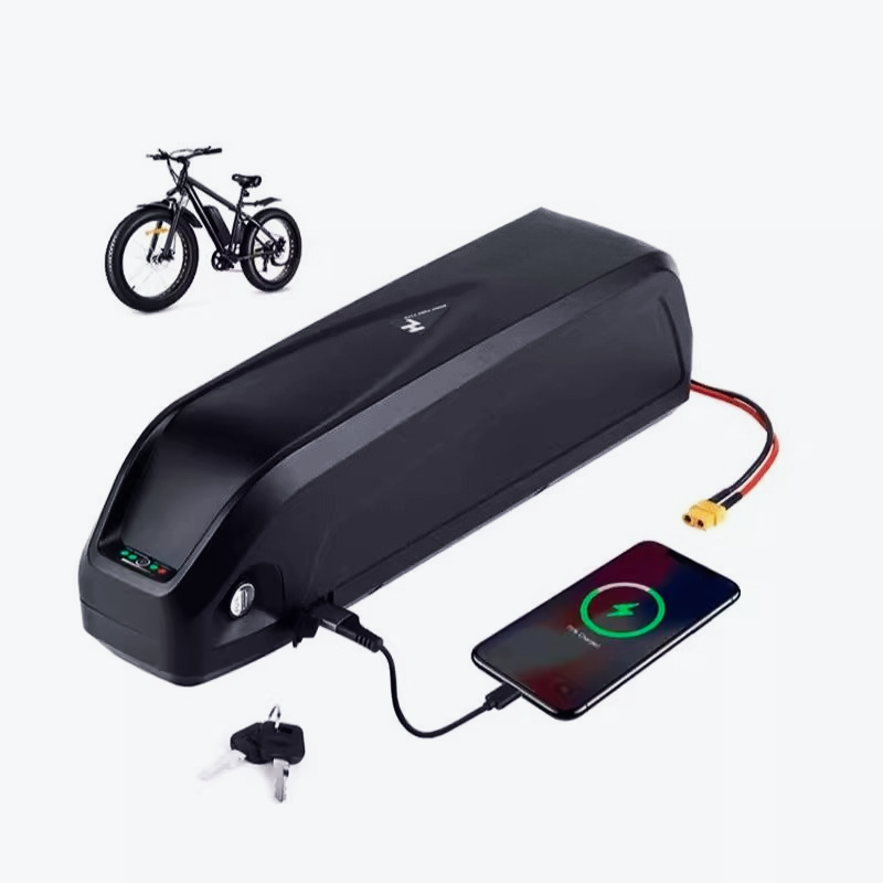 48V Hailong No.1 Type 2 Lithiu - Mountain Biking Phoenix ulasan dan harga