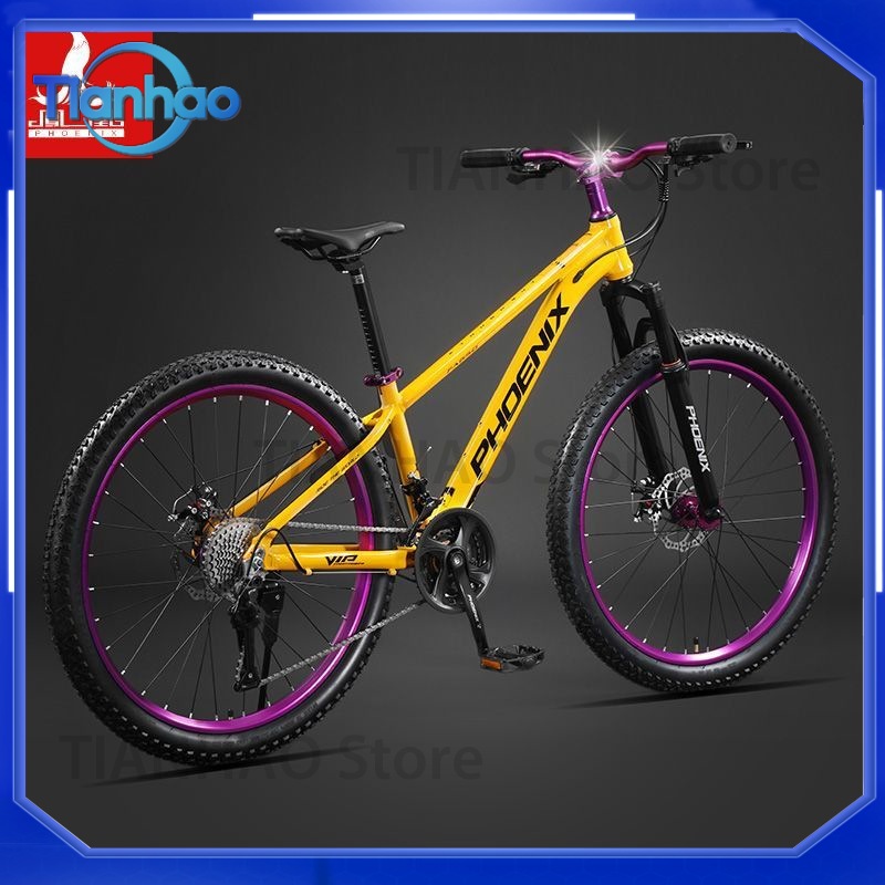 Aluminum Alloy Mountain Bike w - Mountain Biking Phoenix ulasan dan harga