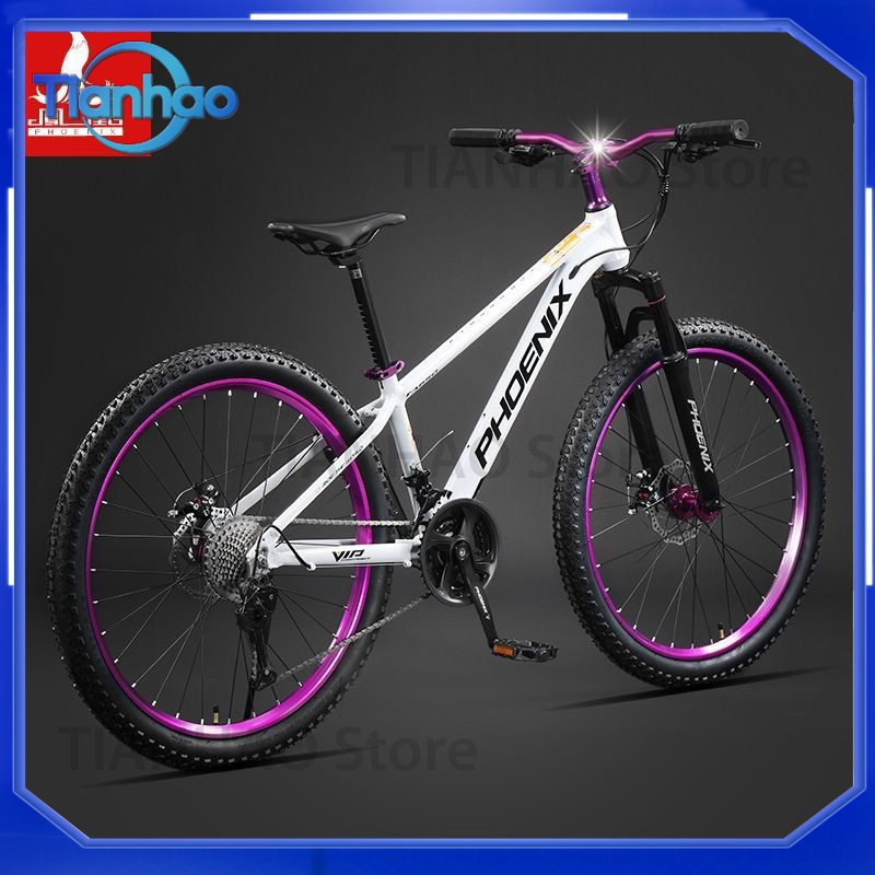 Aluminum Alloy Mountain Bike w - Mountain Biking Phoenix ulasan dan harga