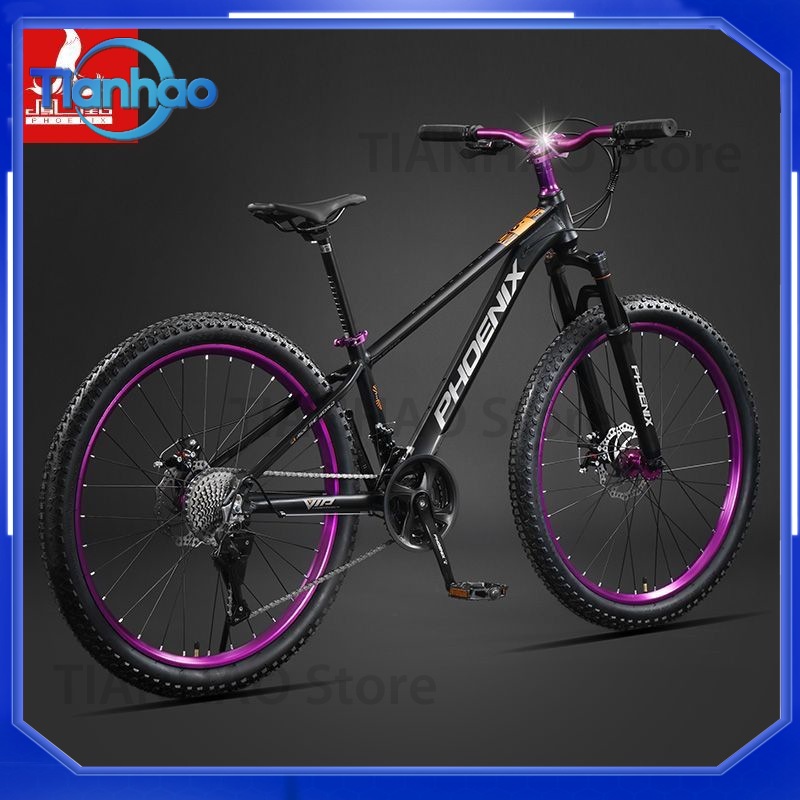 Aluminum Alloy Mountain Bike w - Mountain Biking Phoenix ulasan dan harga