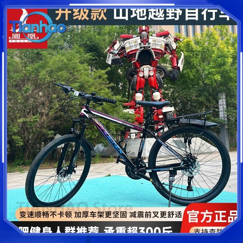 Mountain Bike for Shanghai Pho - Mountain Biking Phoenix ulasan dan harga